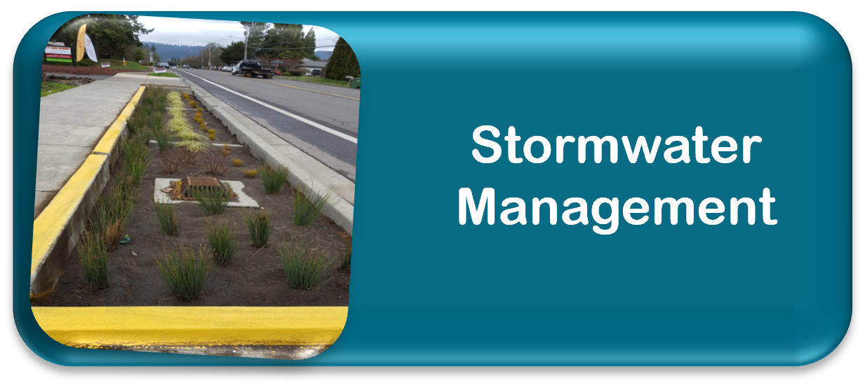 Link to Stormwater Management page